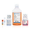 Wayne293® Protein Transfection Kit