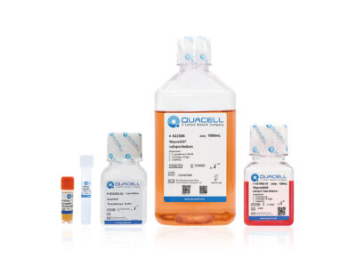Wayne293® Protein Transfection Kit