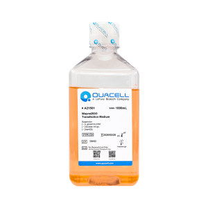 Wayne293®Transfection Medium