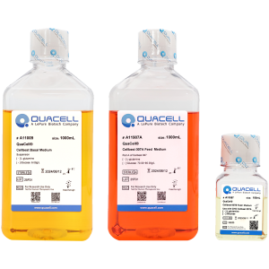 QuaCell® CellBest Basal Medium