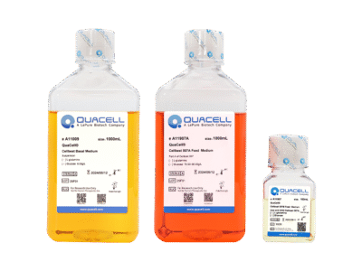 QuaCell® CellBest Basal Medium，液体